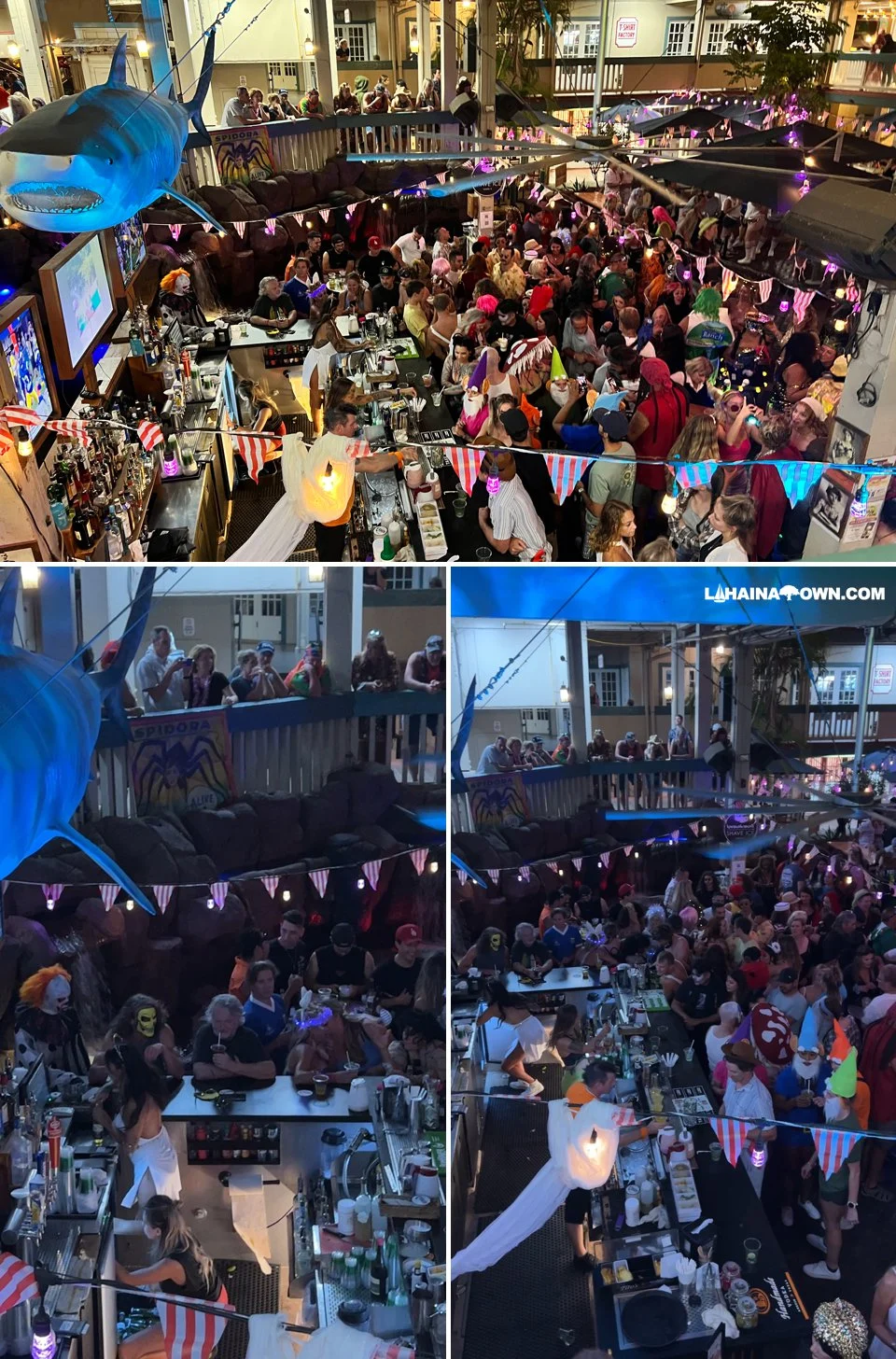 2022 Halloween bars