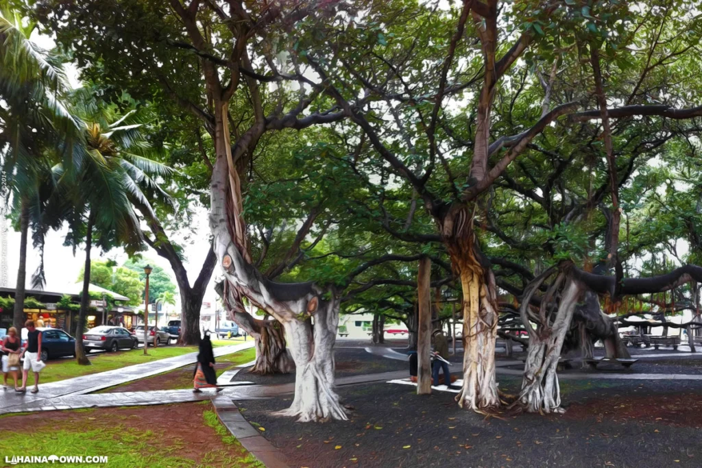 Banyan Tree Lahaina, Maui
