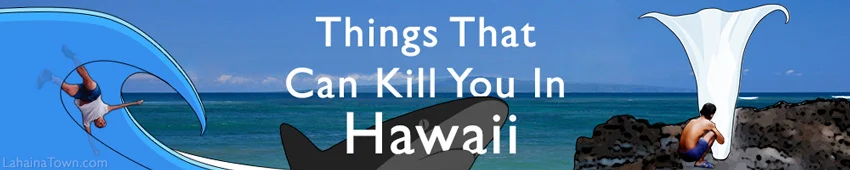 Things That Can Kill You in Hawaii