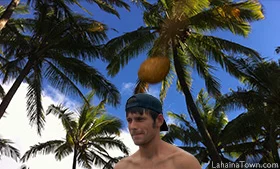 falling coconuts