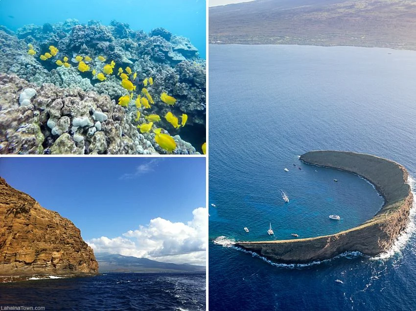 Exciting Maui Activities Snorkel Molokini