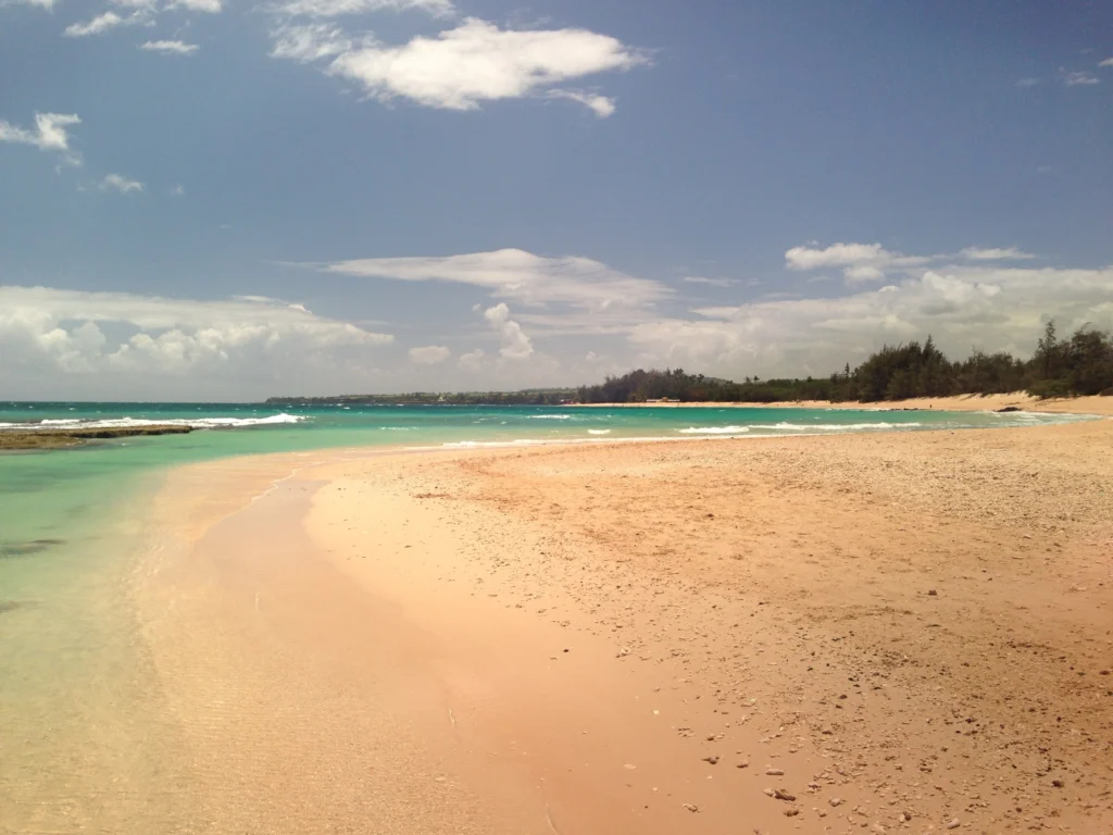 Free To Do On Maui Beach