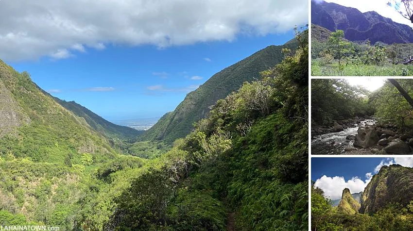 Free To Do On Maui Iao Valley