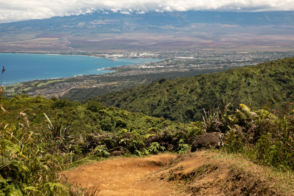 Free To Do On Maui Hiking
