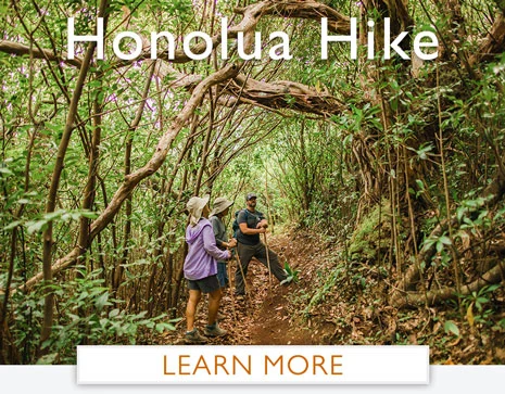 Honolua Bay hiking