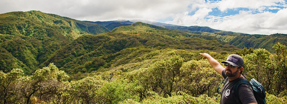 Honolua hiking