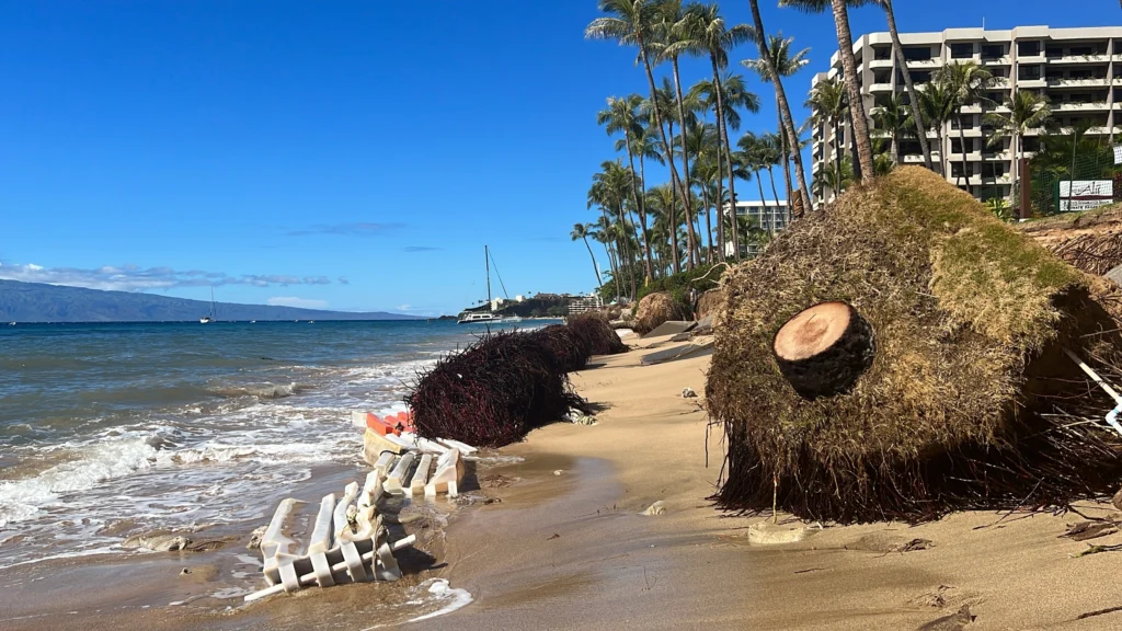 Kaanapali beach erosion Maui