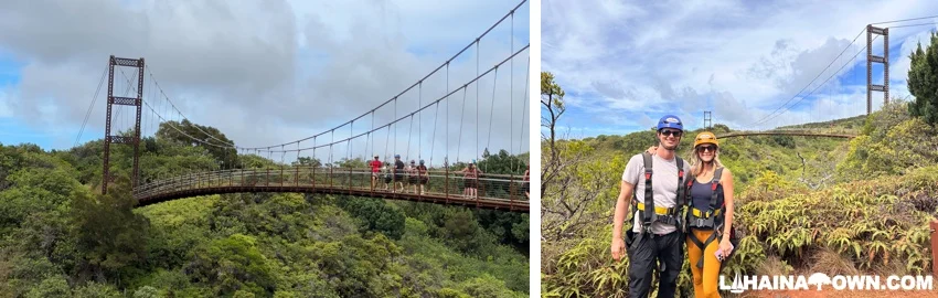 Kapalua suspension bridge
