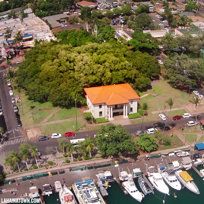 Lahaina Banyan Court Park