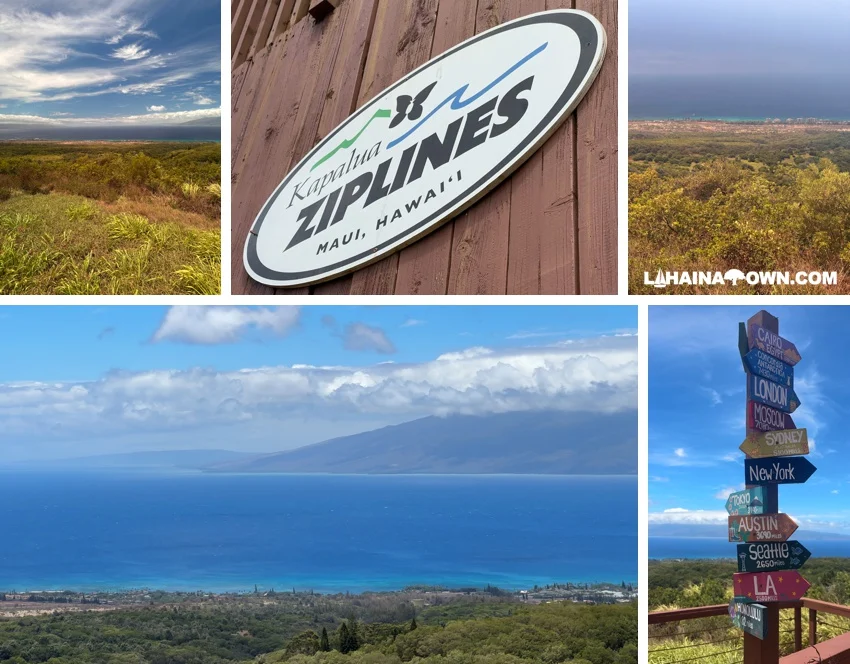 Lahaina Zipline Views