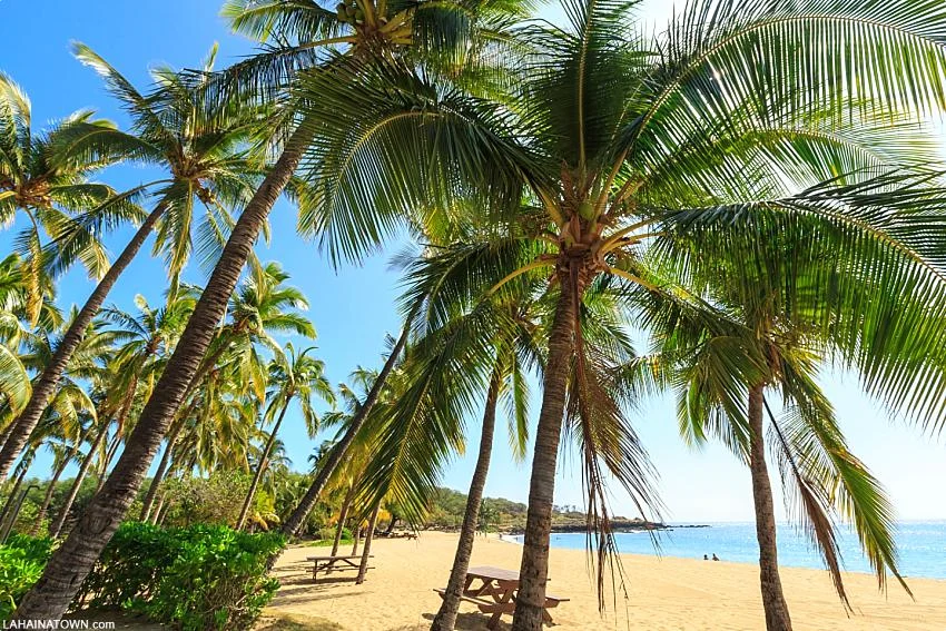 Lanai Beach