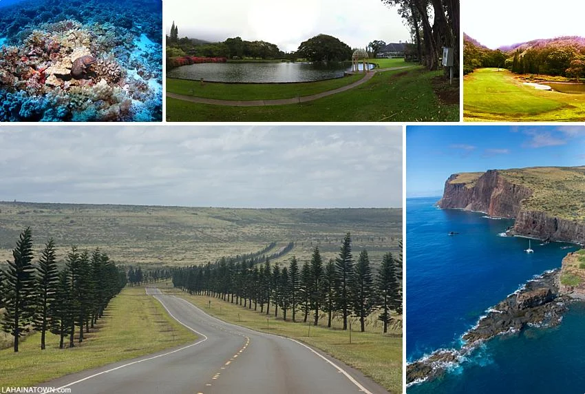 Lanai Activities