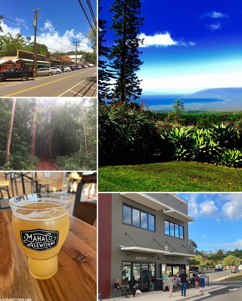 Maui Experience Upcountry