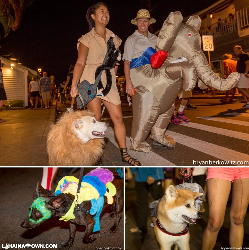Halloween in Lahaina