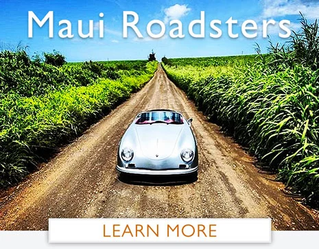 Luxury Car Rentals