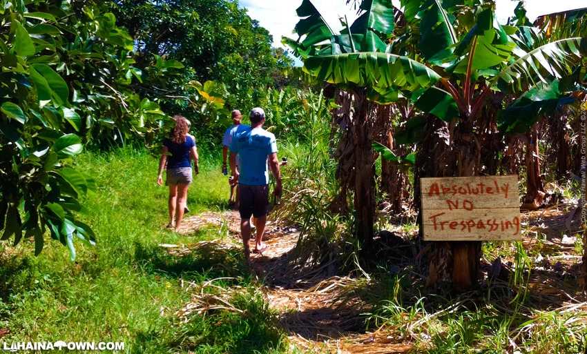The Road Less Traveled