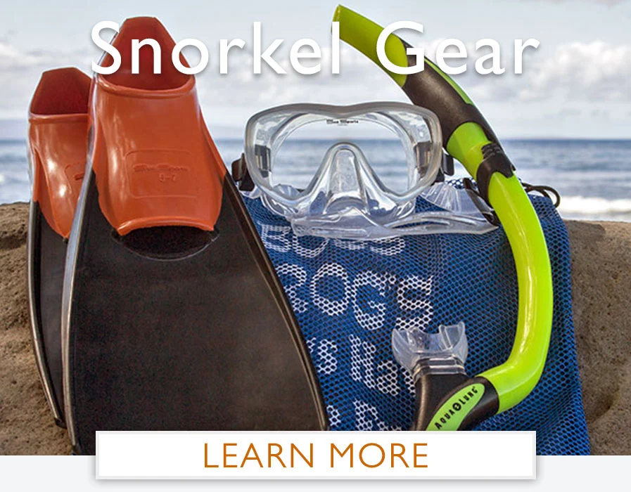 Maui snorkel gear