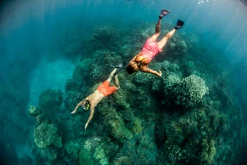 couple snorkeling above the reef