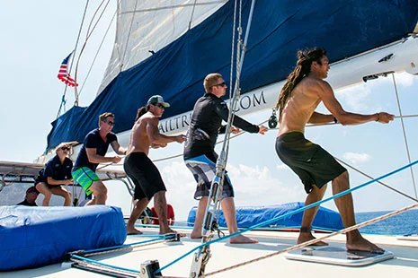 Trilogy crew raising the sails