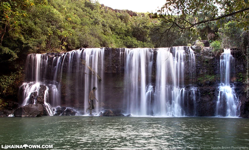 Swimming Under a Waterfall