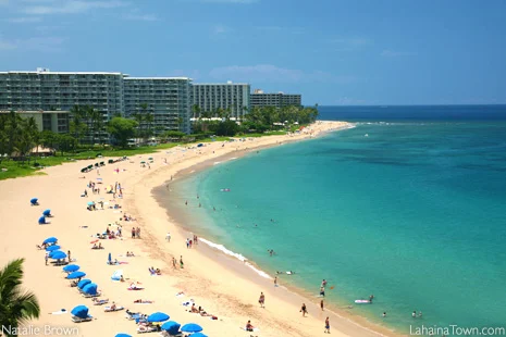 Lahaina Dining Options Top Image