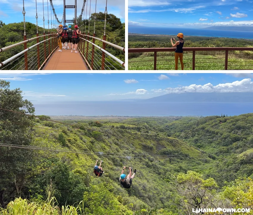 WEst Maui ziplines